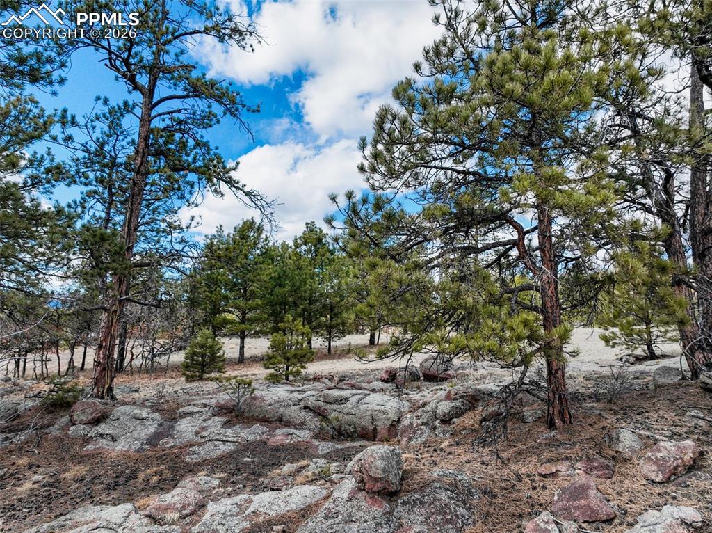 54 Ute Circle Florissant CO 80816