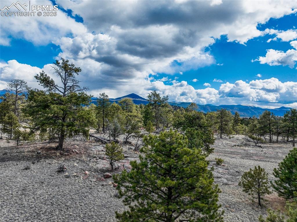 54 Ute Circle Florissant CO 80816