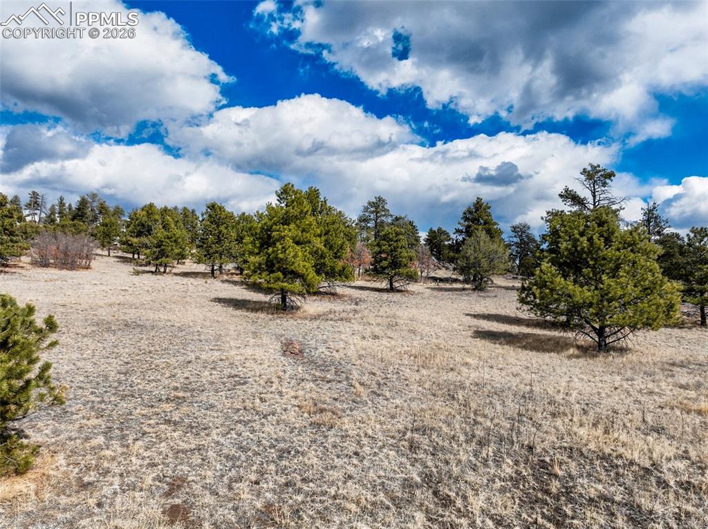 54 Ute Circle Florissant CO 80816