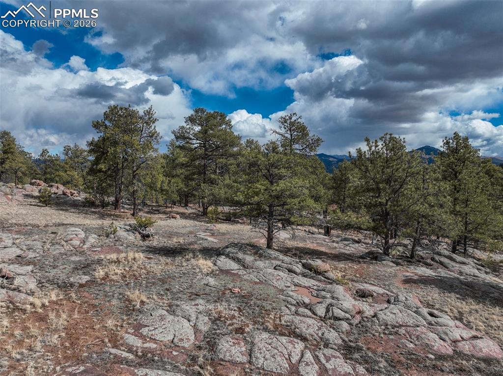 54 Ute Circle Florissant CO 80816