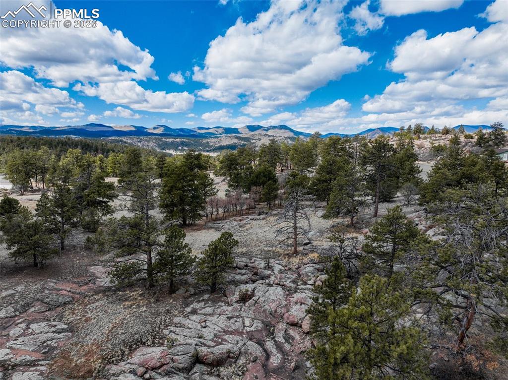54 Ute Circle Florissant CO 80816