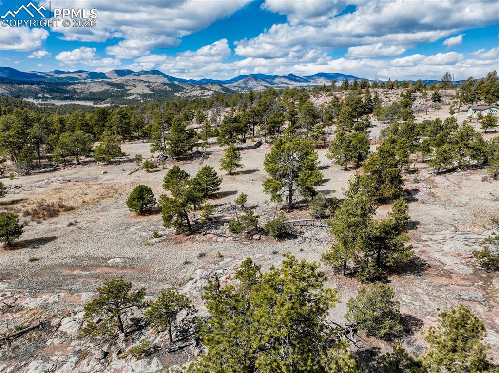 54 Ute Circle Florissant CO 80816