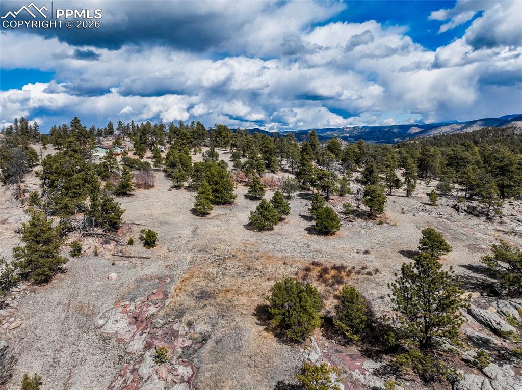 54 Ute Circle Florissant CO 80816
