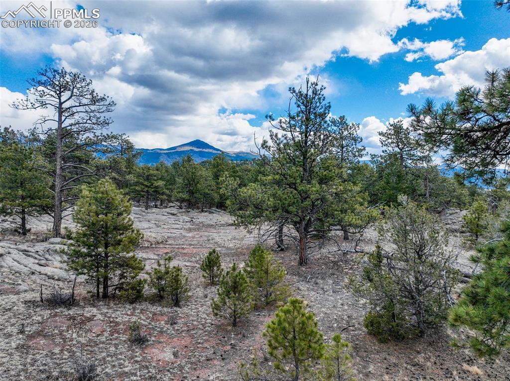 54 Ute Circle Florissant CO 80816