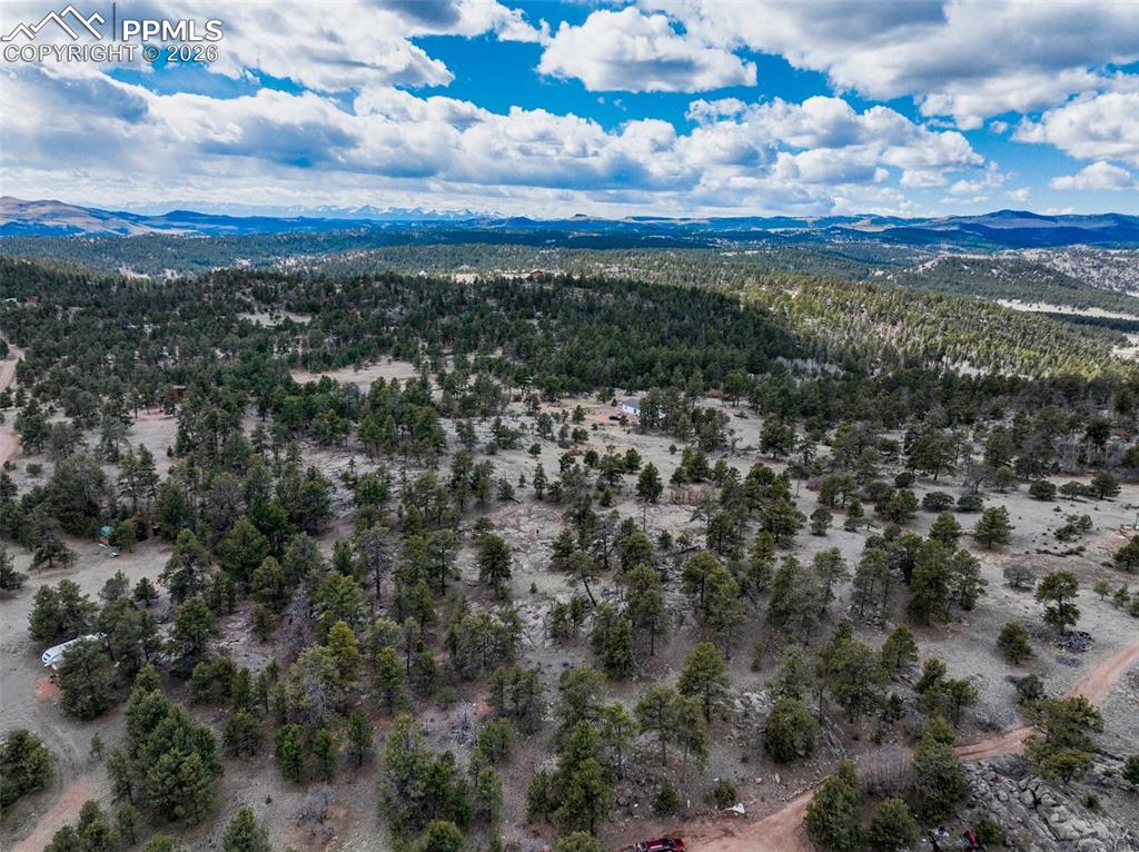 54 Ute Circle Florissant CO 80816