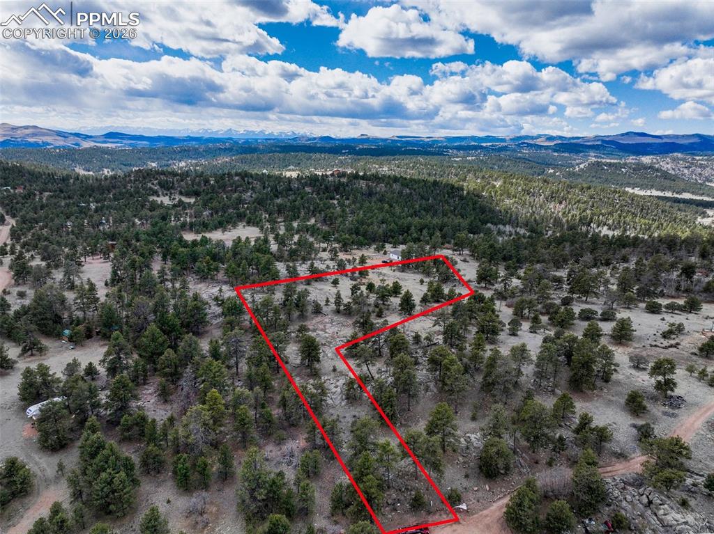 54 Ute Circle Florissant CO 80816