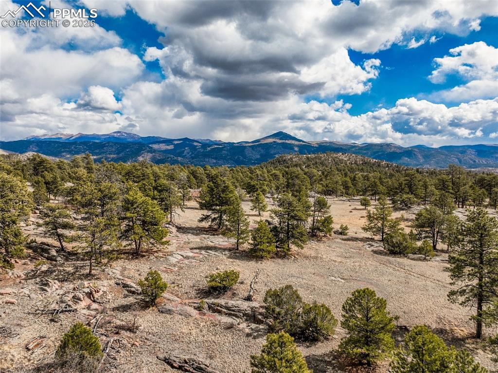54 Ute Circle Florissant CO 80816