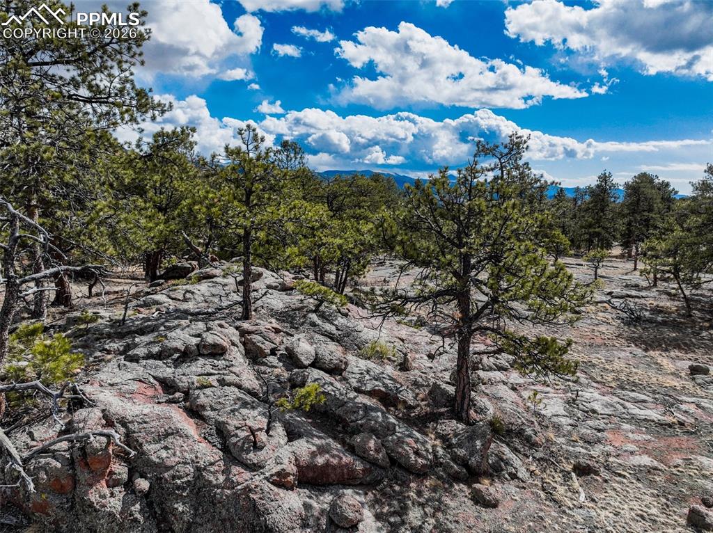 54 Ute Circle Florissant CO 80816