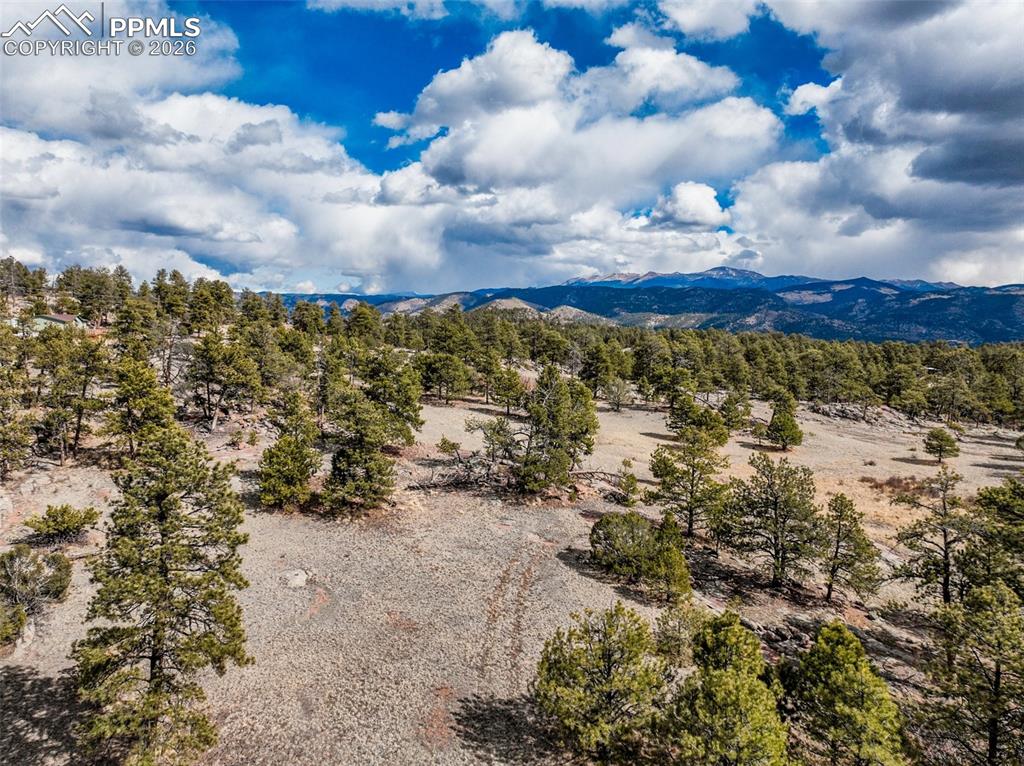 54 Ute Circle Florissant CO 80816