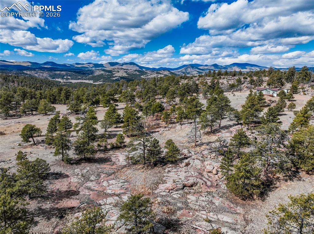 54 Ute Circle Florissant CO 80816