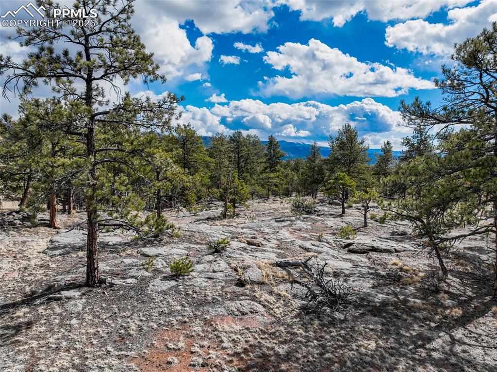 54 Ute Circle Florissant CO 80816