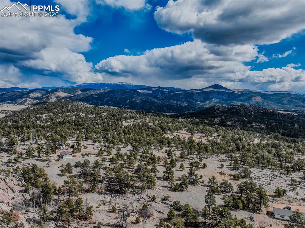 54 Ute Circle Florissant CO 80816