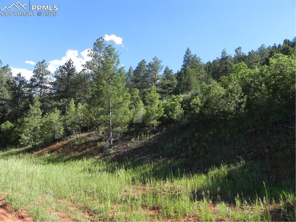 8117 Acoma Drive Larkspur CO 80118