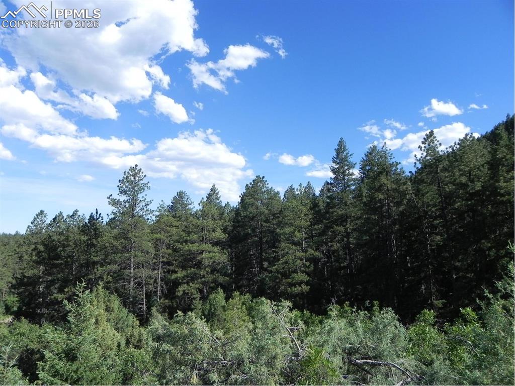 8117 Acoma Drive Larkspur CO 80118