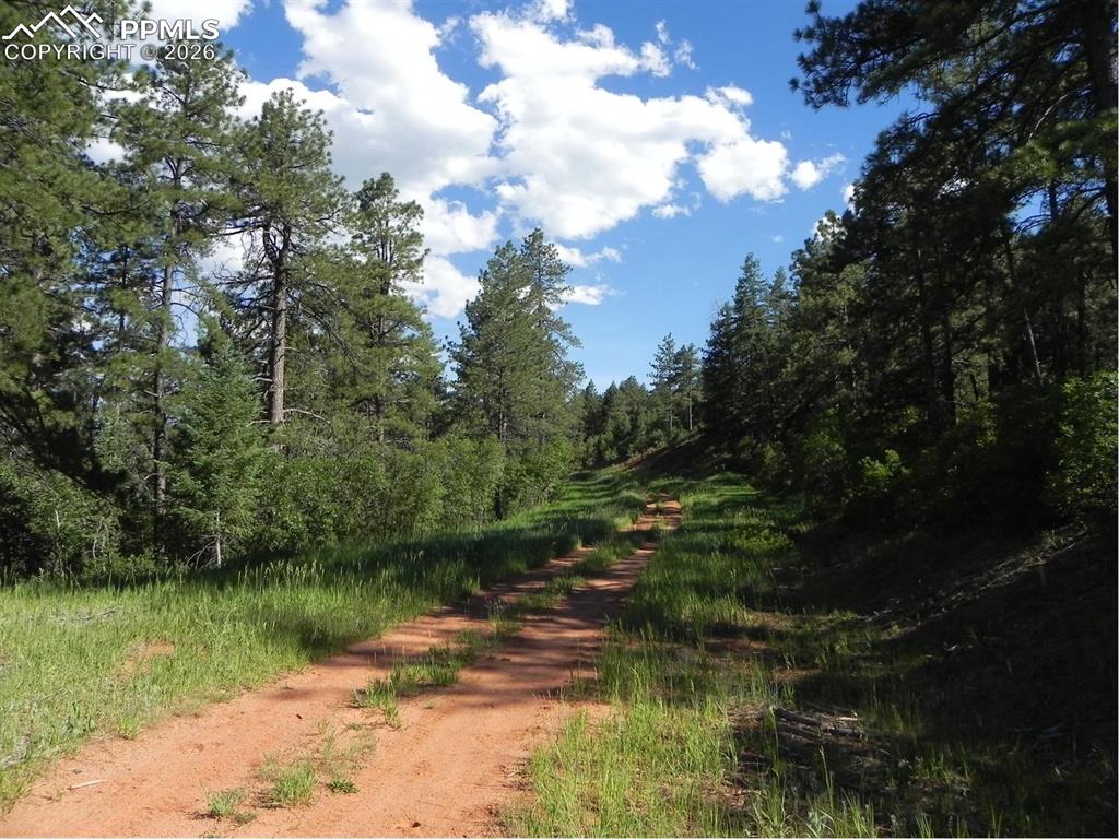 8117 Acoma Drive Larkspur CO 80118