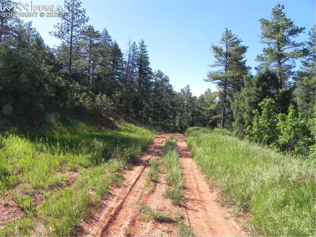 8117 Acoma Drive Larkspur CO 80118