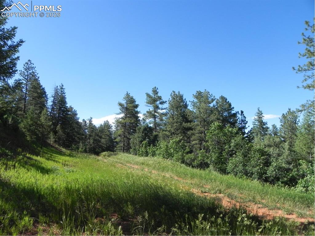 8117 Acoma Drive Larkspur CO 80118