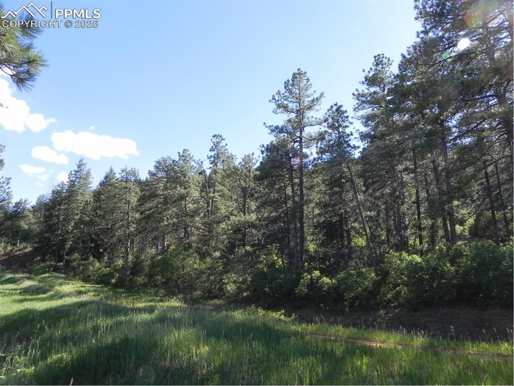 8117 Acoma Drive Larkspur CO 80118
