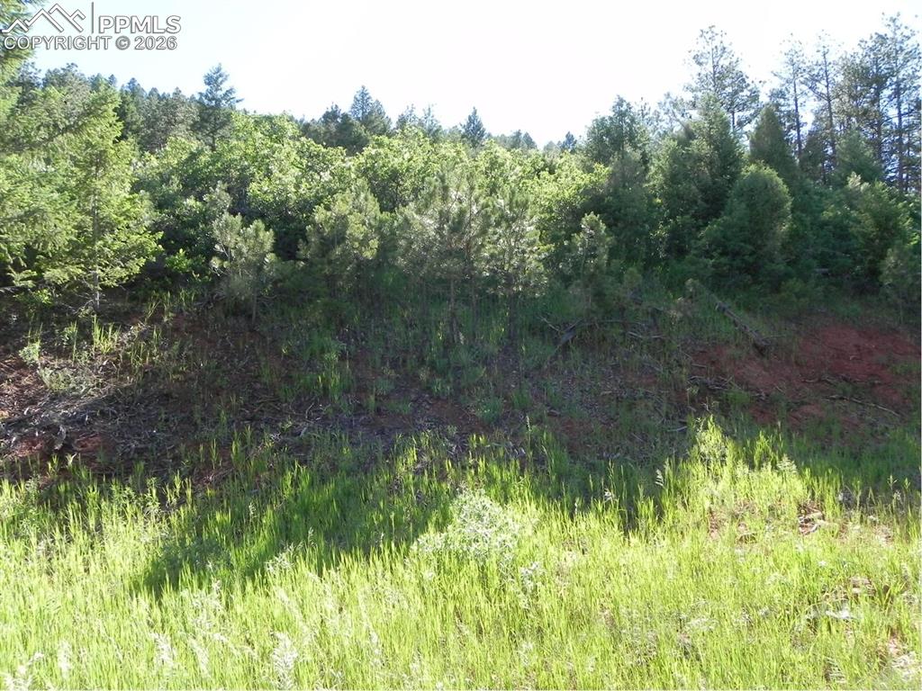 8117 Acoma Drive Larkspur CO 80118