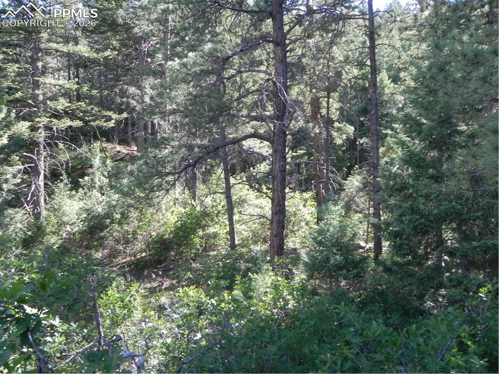 8117 Acoma Drive Larkspur CO 80118