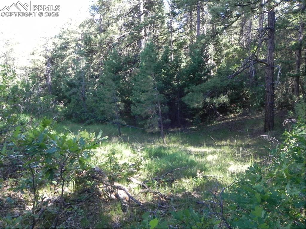 8117 Acoma Drive Larkspur CO 80118