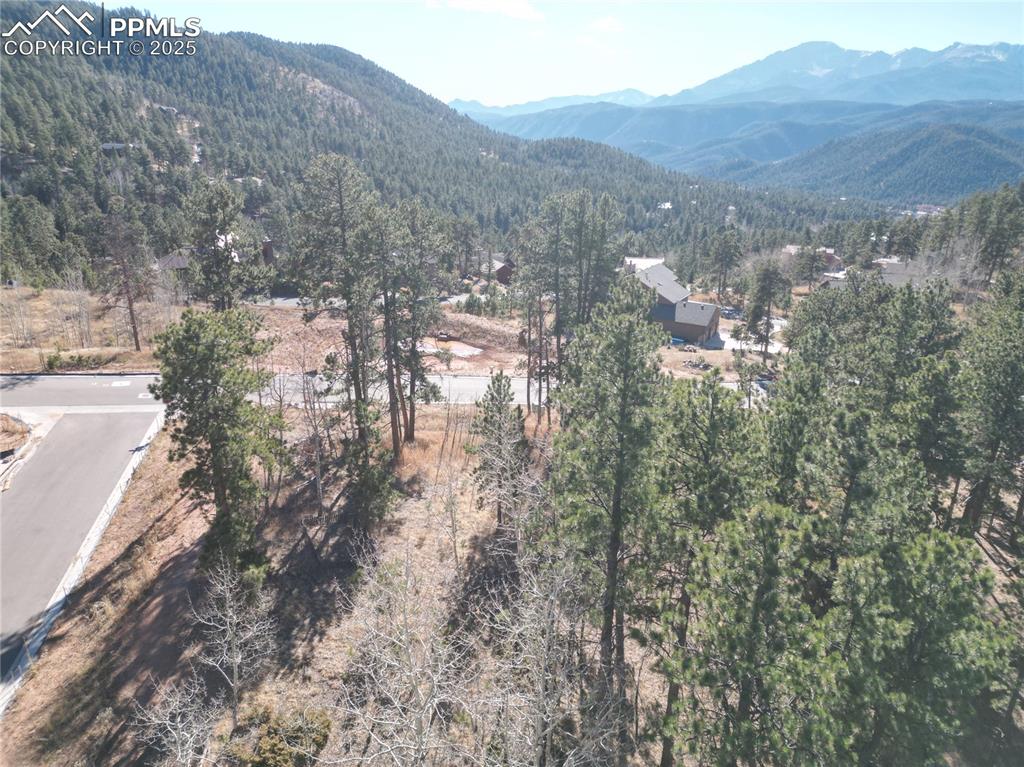 1310 Blue Haven Place Woodland Park CO 80863