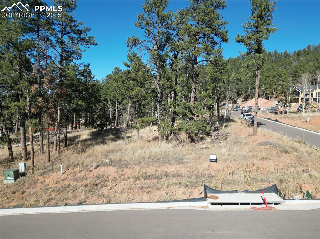 1310 Blue Haven Place Woodland Park CO 80863