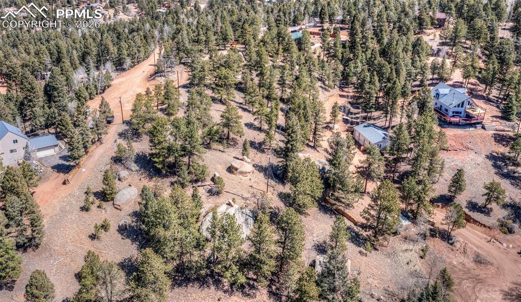110 La Abu Trail Florissant CO 80816