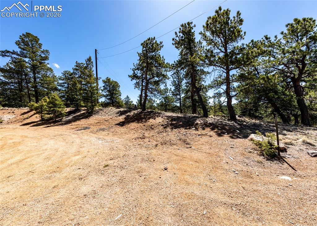 110 La Abu Trail Florissant CO 80816