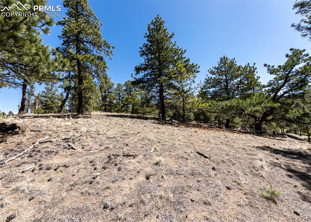 110 La Abu Trail Florissant CO 80816