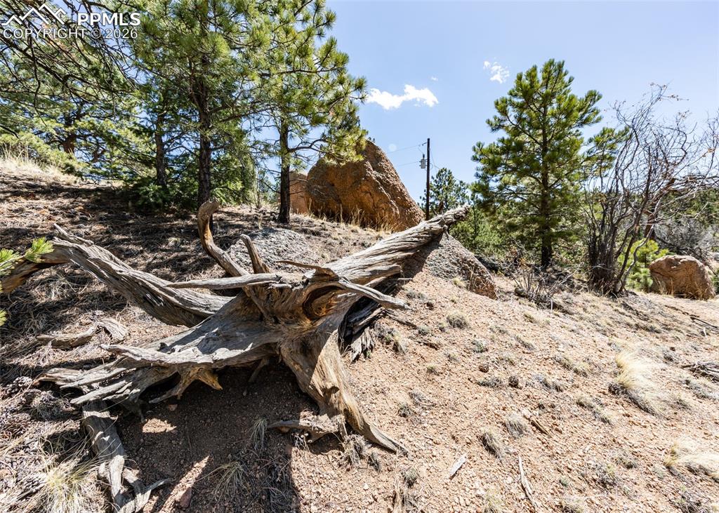 110 La Abu Trail Florissant CO 80816