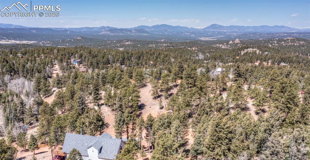 110 La Abu Trail Florissant CO 80816