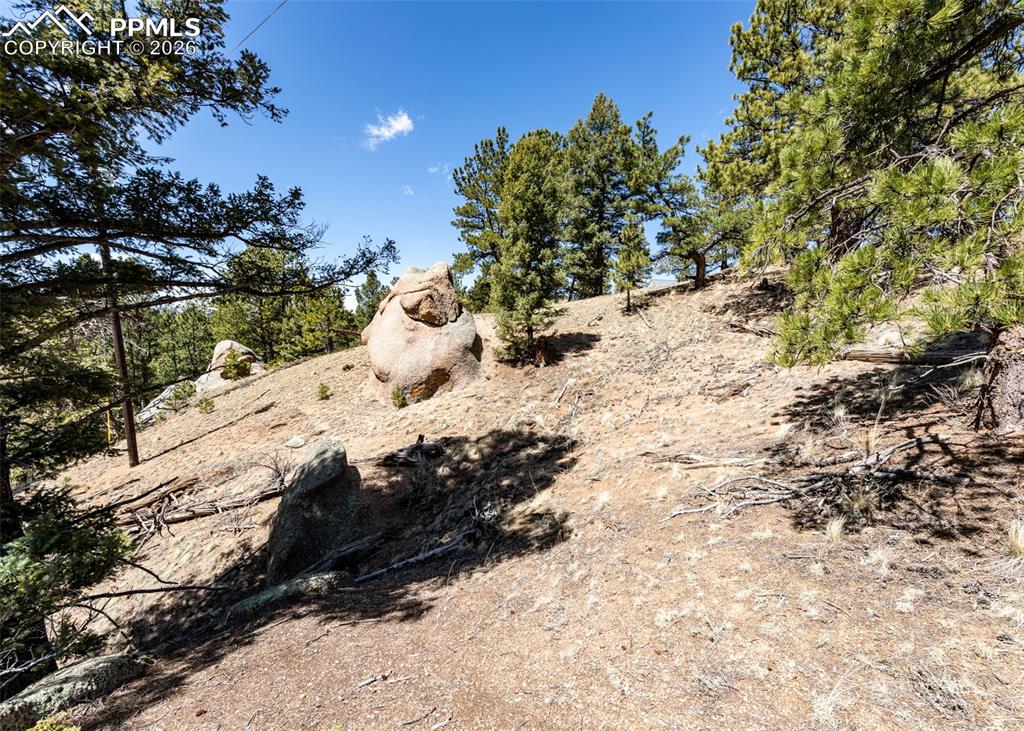 110 La Abu Trail Florissant CO 80816
