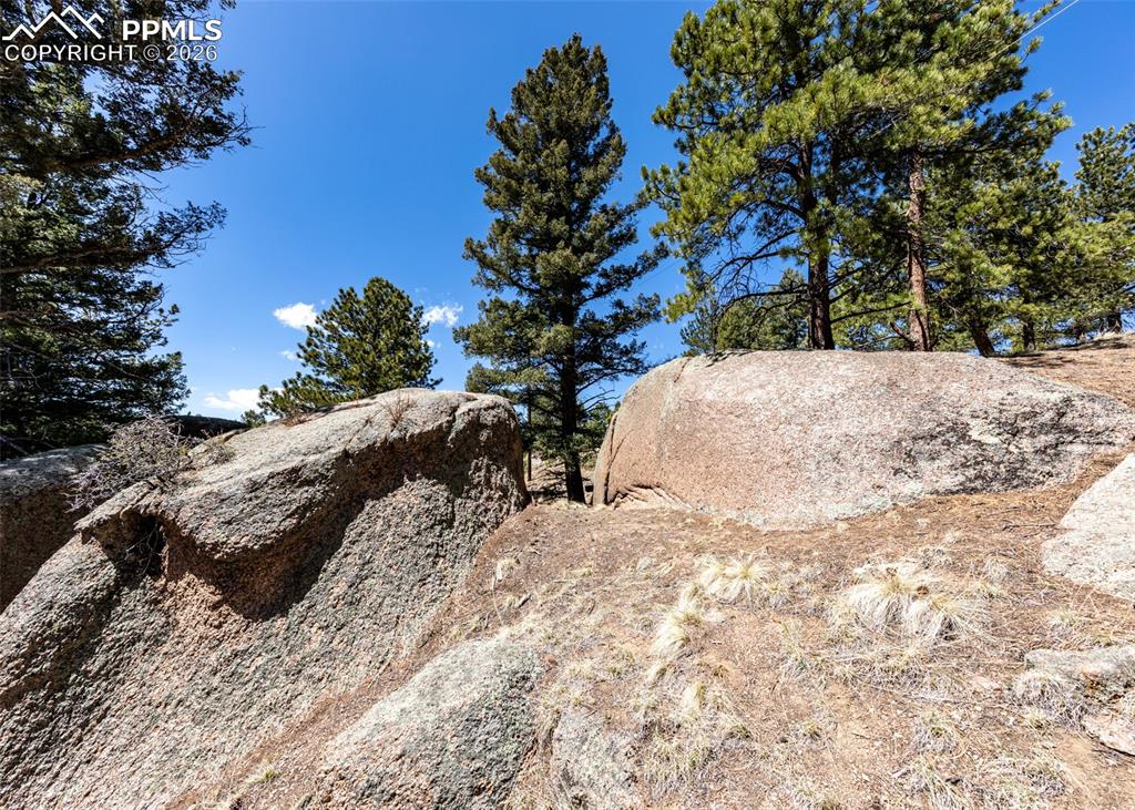 110 La Abu Trail Florissant CO 80816