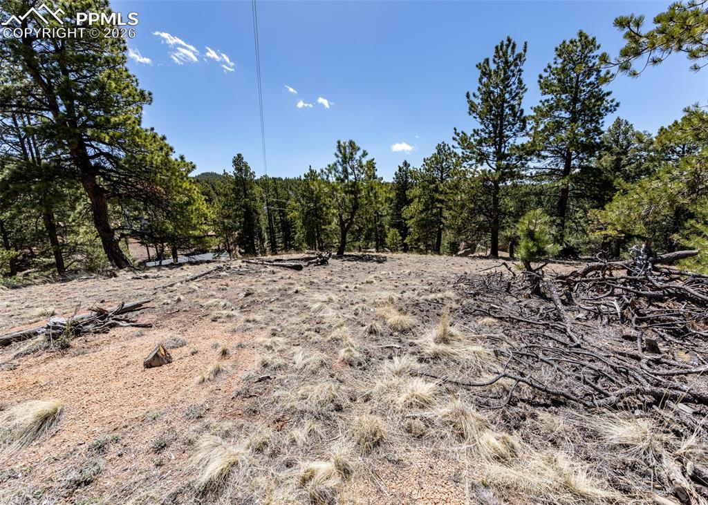110 La Abu Trail Florissant CO 80816