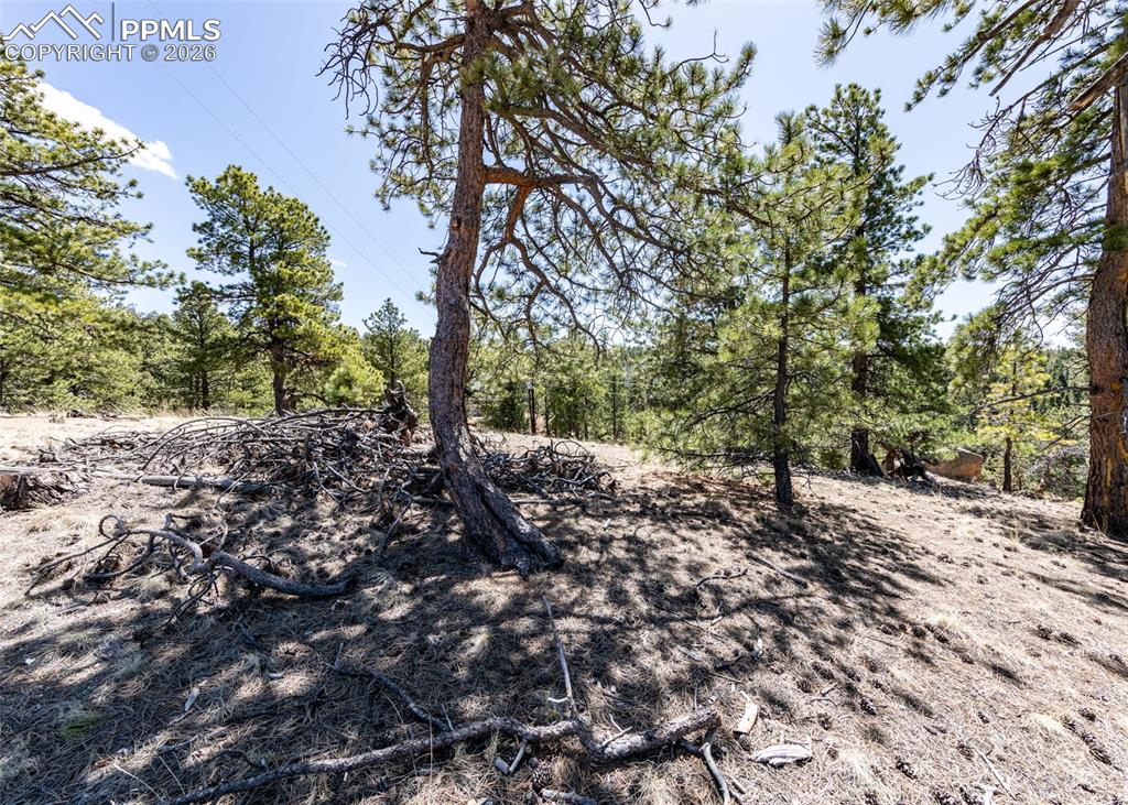 110 La Abu Trail Florissant CO 80816