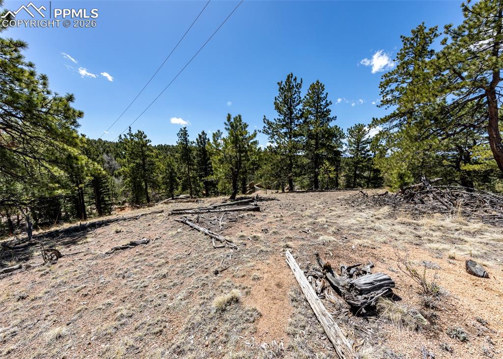 110 La Abu Trail Florissant CO 80816