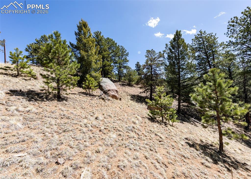 110 La Abu Trail Florissant CO 80816