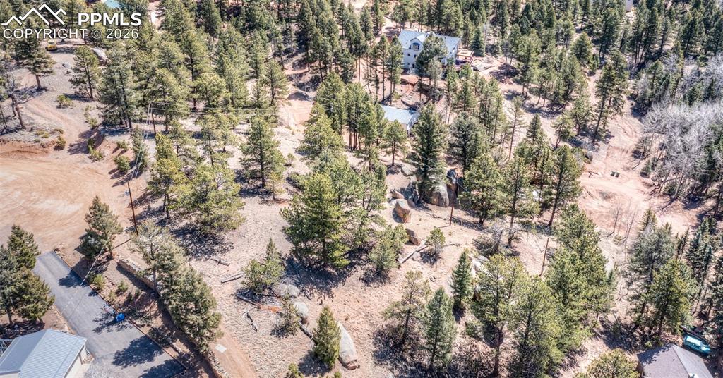 110 La Abu Trail Florissant CO 80816