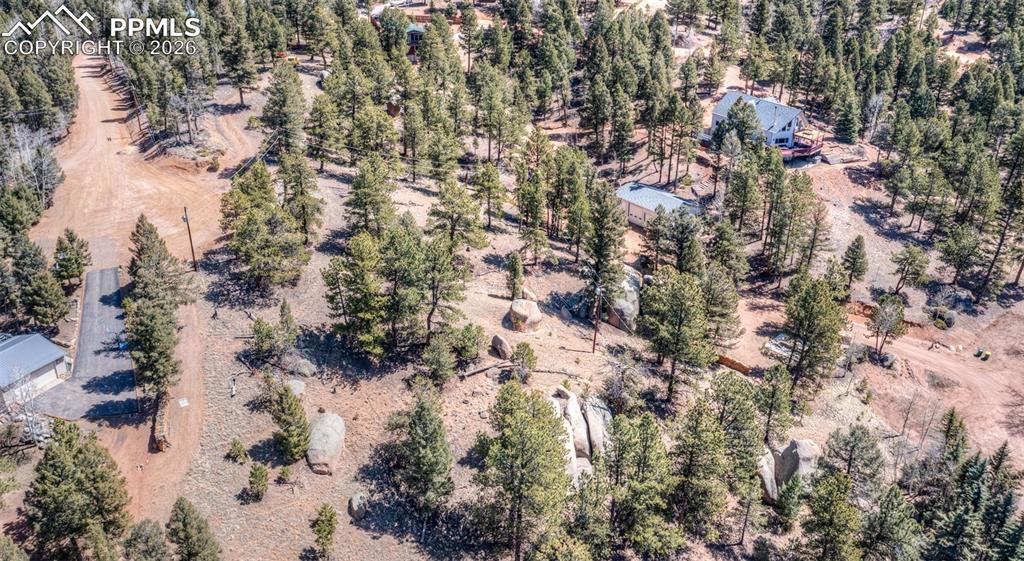 110 La Abu Trail Florissant CO 80816