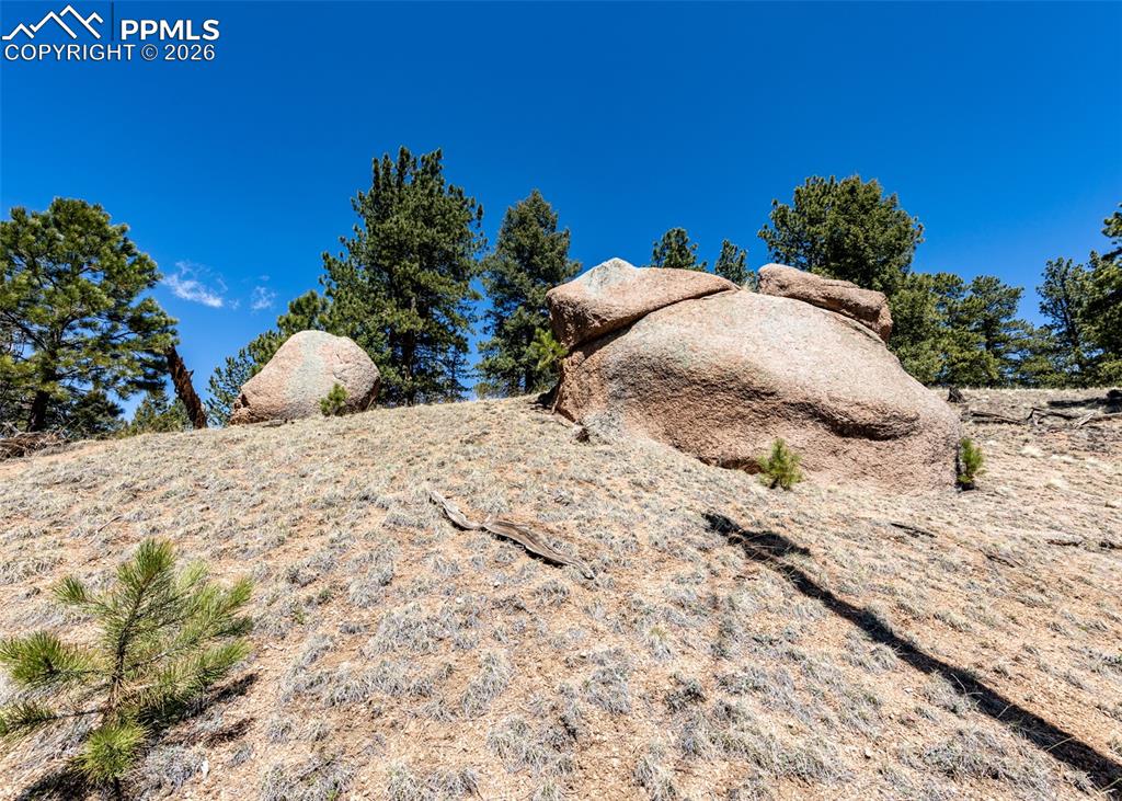 110 La Abu Trail Florissant CO 80816