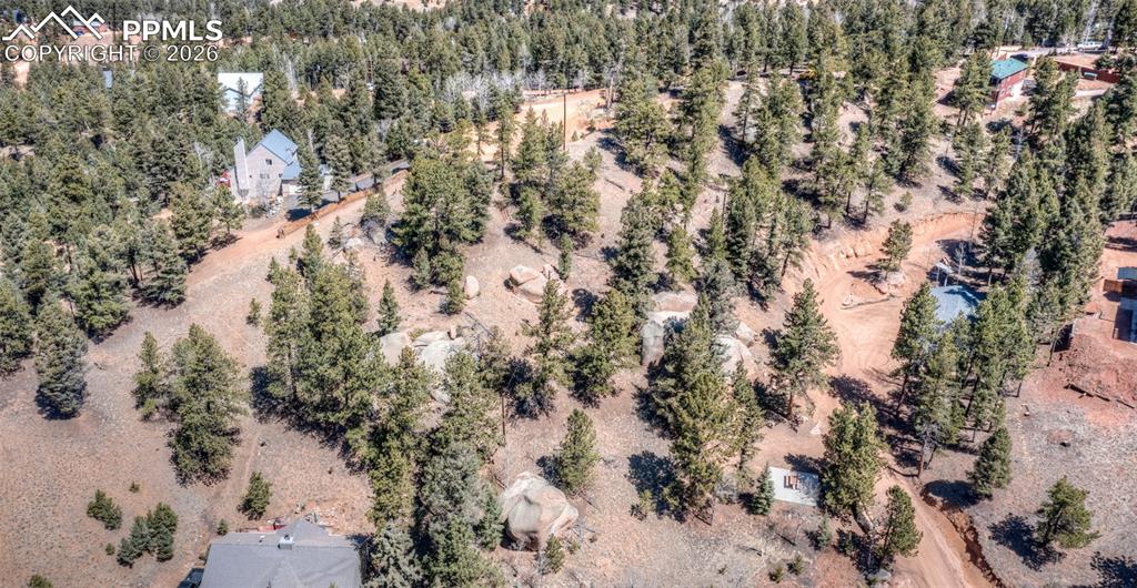 110 La Abu Trail Florissant CO 80816