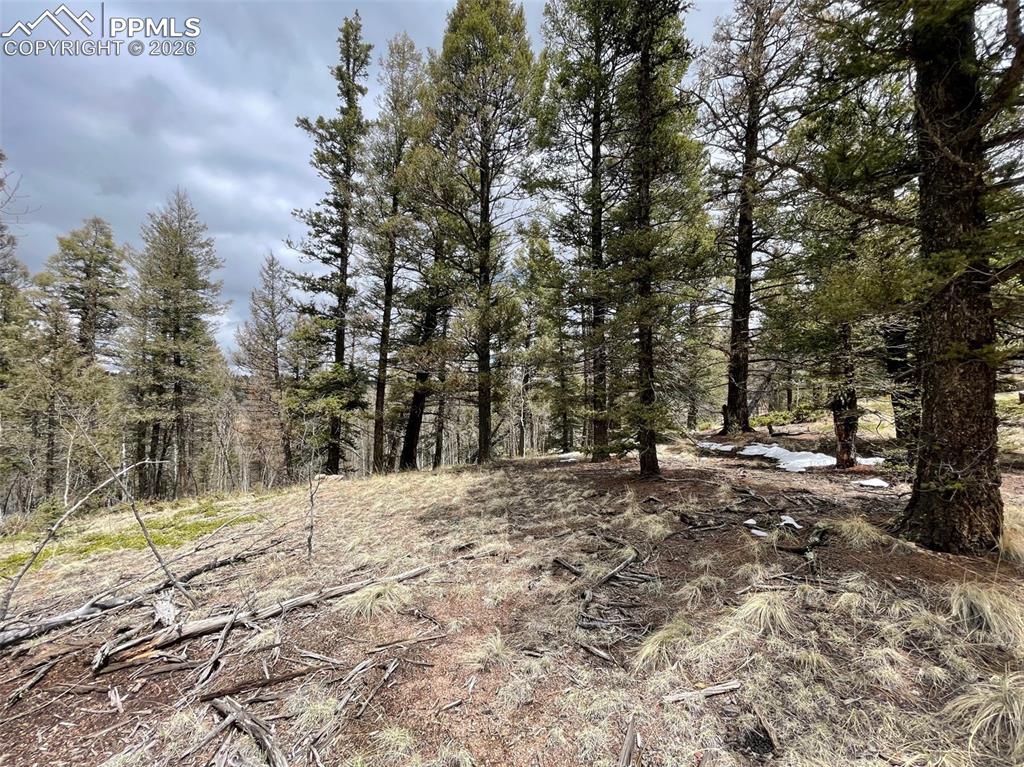 228 Alpine Drive Florissant CO 80816