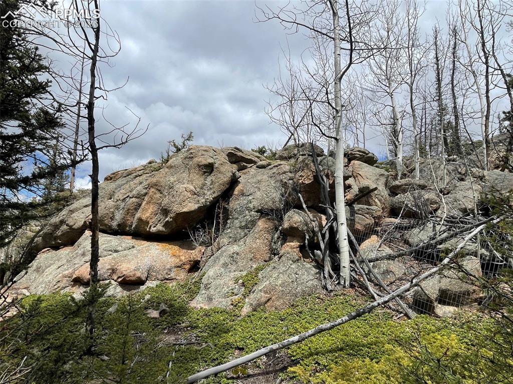 228 Alpine Drive Florissant CO 80816
