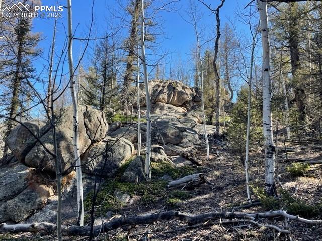 228 Alpine Drive Florissant CO 80816