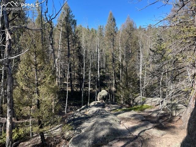 228 Alpine Drive Florissant CO 80816