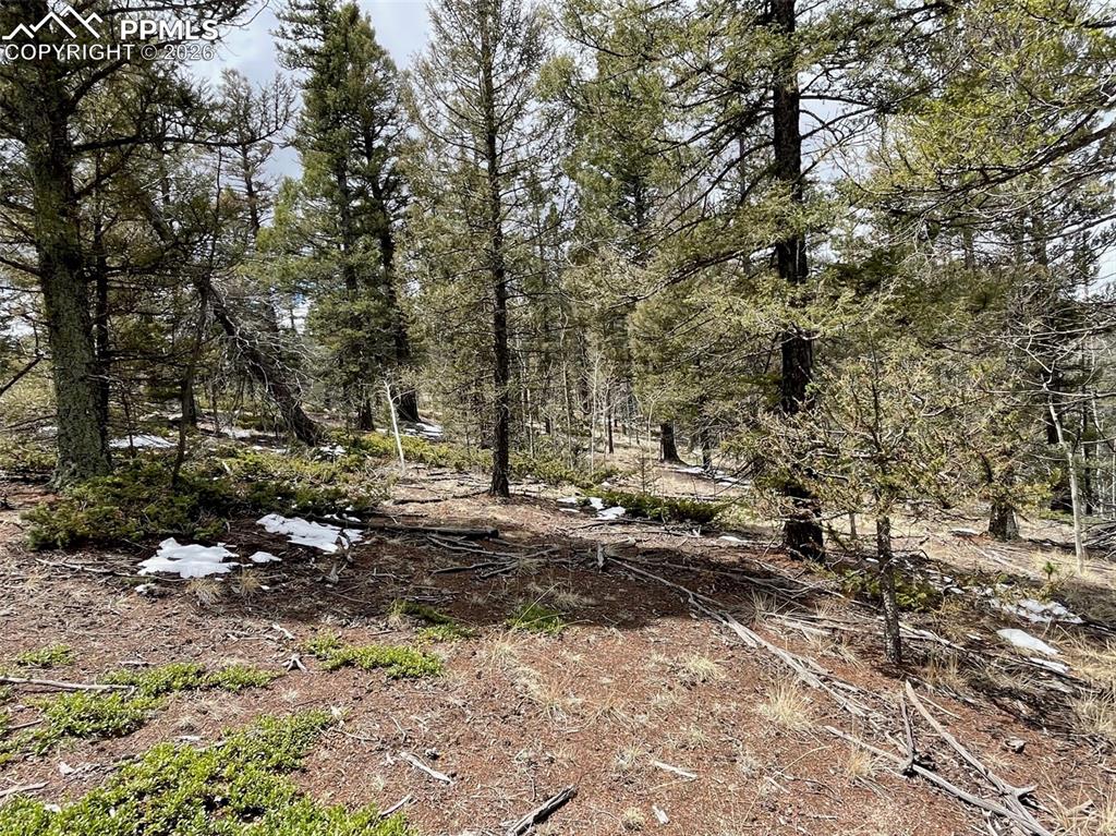 228 Alpine Drive Florissant CO 80816