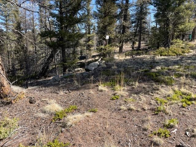 228 Alpine Drive Florissant CO 80816