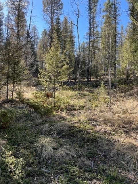 228 Alpine Drive Florissant CO 80816