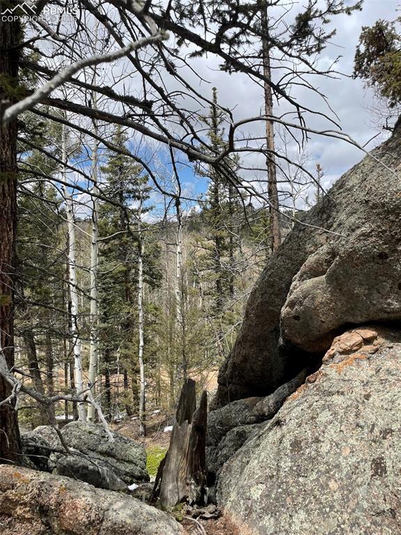 228 Alpine Drive Florissant CO 80816